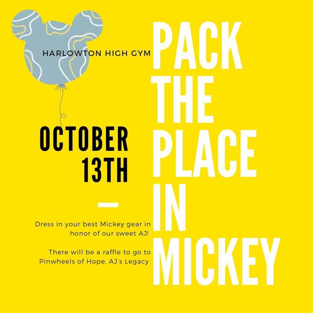 Pack the Place in Mickey Flyer